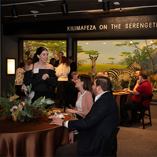 A group of nicely dresses visitors sitting at a table in Africa and Asia Hall.